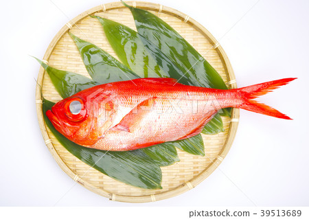 金魚魚 39513689