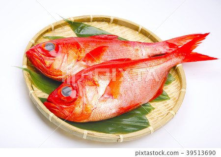 金魚魚 39513690