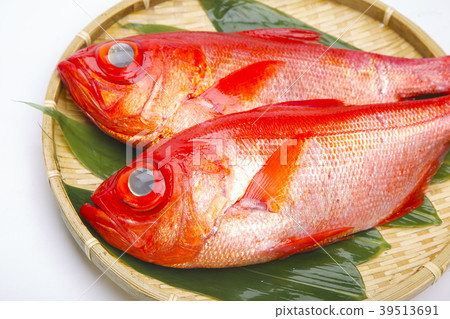金魚魚 39513691