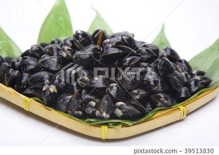 Shijimi成分 Shijimi成分 39513830