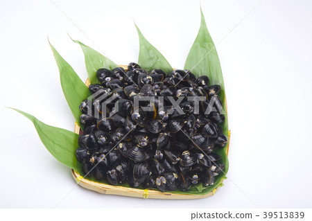 Shijimi成分 Shijimi成分 39513839