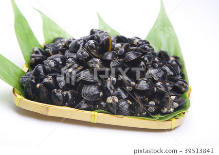 Shijimi成分 39513841