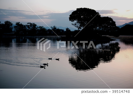 Hiraike's morning Hiraike's morning 39514748