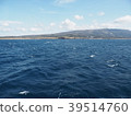 izu-Oshima  39514760