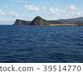 izu-Oshima  39514770