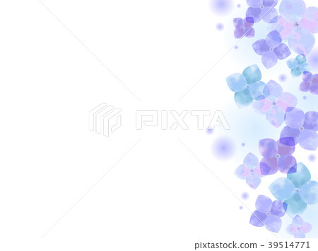 繡球花背景 繡球花背景 39514771