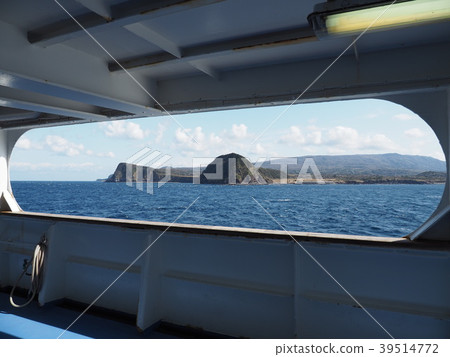 伊豆大島 伊豆大島 39514772