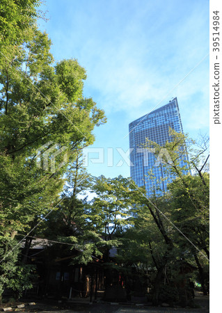 寺廟和神社風景（東京，愛宕神社，秋天） 39514984