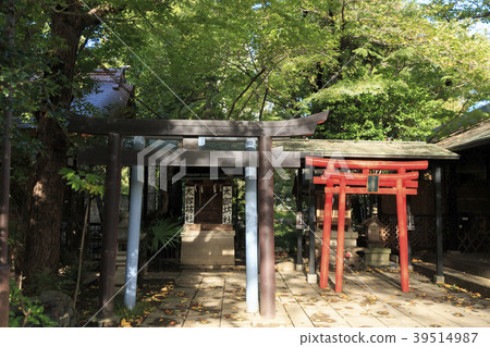 寺廟和神社風景 東京 愛宕神社 秋天 照片素材 圖片 圖庫