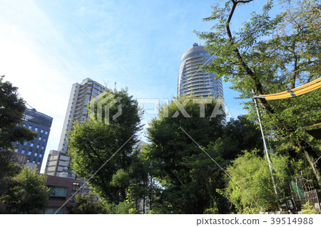 寺廟和神社風景(東京,愛宕神社,秋天) 寺廟和神社風景(東京,愛宕神社,秋天) 39514988