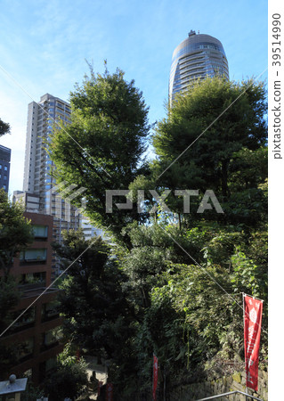 寺廟和神社風景(東京,愛宕神社,秋天) 寺廟和神社風景(東京,愛宕神社,秋天) 39514990