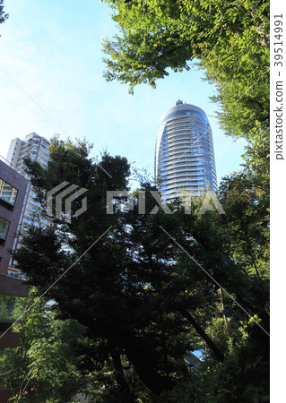 寺廟和神社風景(東京,愛宕神社,秋天) 寺廟和神社風景(東京,愛宕神社,秋天) 39514991