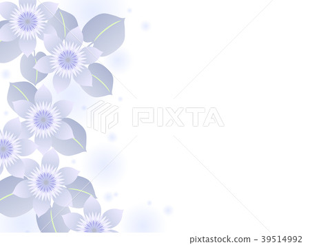 鐵線蓮屬背景 鐵線蓮屬背景 39514992