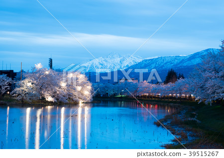 Yozakura Magic Hour 39515267