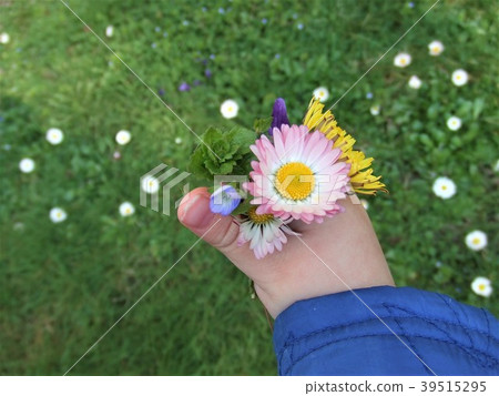 春天的花朵 春天的花朵 39515295