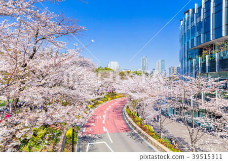 東京行櫻花在東京中城 39515311