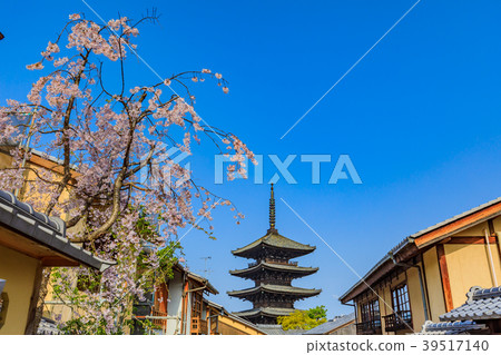 京都春天八坂塔(Hokanji寺) 京都春天八坂塔(Hokanji寺) 39517140