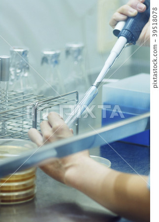 Researcher conducting an experiment with a micropipette, Person conducting an experiment, Image material, Science image 39518078