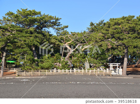 Hatorimatsu-18700 39518618