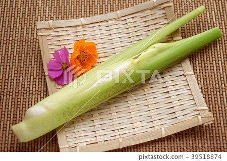 Makomodake Makomodake 39518874