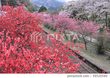 Spring Watarase Valley Railway Kobe Station Spring Watarase Valley Railway Kobe Station 39520560