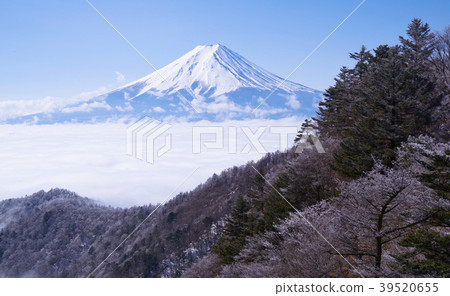 從美圖山到Unkai的富士山 39520655