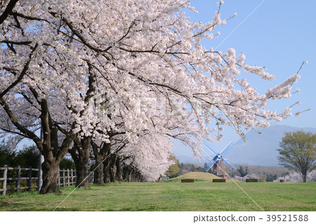 大型小栗村牧場 39521588