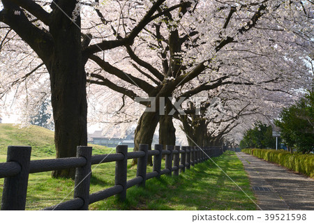 大型小栗村牧場 大型小栗村牧場 39521598