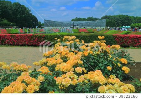 金代植物園春天玫瑰節 金代植物園春天玫瑰節 39522166