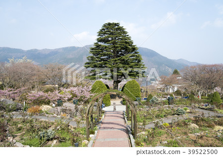 Spring Gora Park（神奈川縣箱根町） 39522500