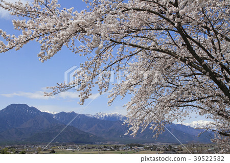 Spring of Azumino in the Northern Alps 39522582