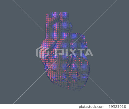 Stylized wireframe human heart illustration 39523918
