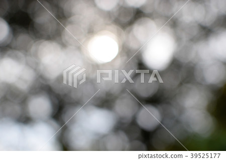 bokeh 39525177