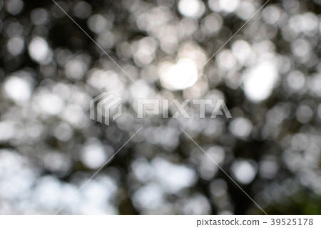 bokeh bokeh 39525178