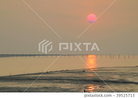 武士，台中，龍井，麗水漁港，日落，日落，陰影 39525713