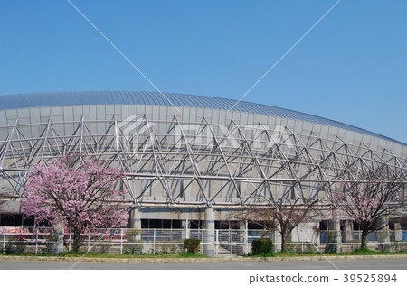 櫻花東大阪競技場 39525894