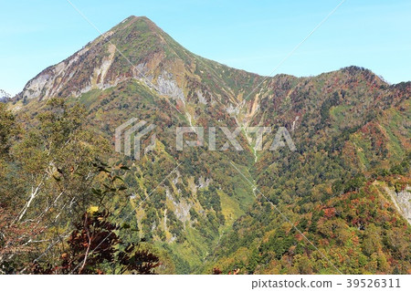 Mt. Mt. 39526311