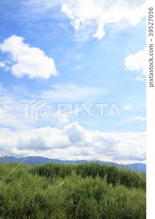 田園風光(靜岡縣,運動場,秋天) 田園風光(靜岡縣,運動場,秋天) 39527056
