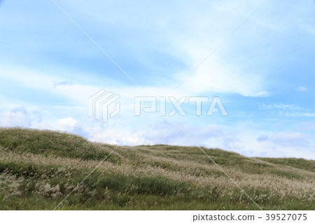Rural scenery (Shizuoka Prefecture, exercise ground, autumn) Rural scenery (Shizuoka Prefecture, exercise ground, autumn) 39527075