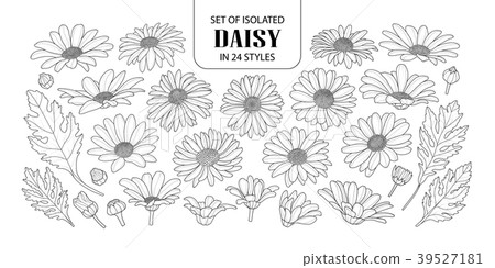 Set of isolated daisy in 24 styles. 39527181