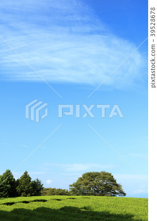 風景秀麗（靜岡縣，富士山，夏天） 39528678