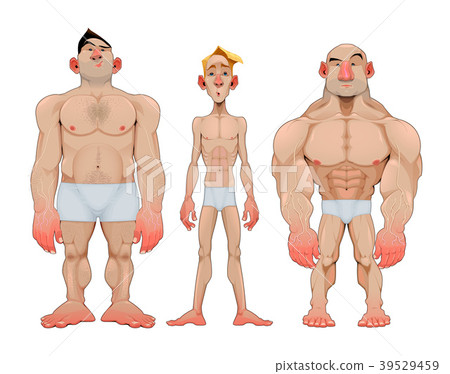 Three types of caricatural male anatomies Three types of caricatural male anatomies 39529459