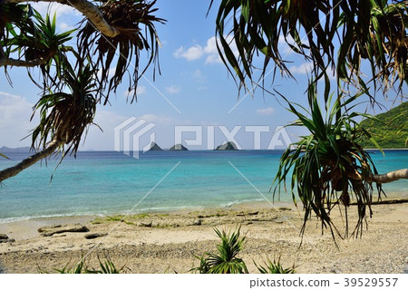<Amami Oshima> Beautiful West Koumi Sea 02 <Amami Oshima> Beautiful West Koumi Sea 02 39529557