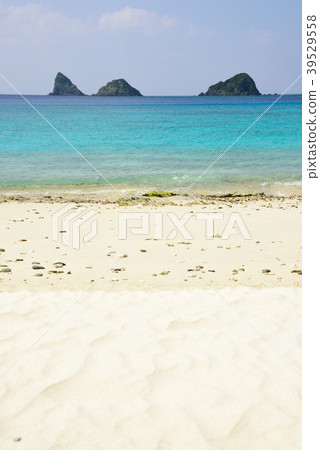 <Amami Oshima> Beautiful West Koumi Sea 03 <Amami Oshima> Beautiful West Koumi Sea 03 39529558