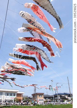 Caterpillar of the long stature 39529825