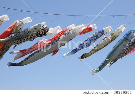 Caterpillar of the long stature Caterpillar of the long stature 39529892