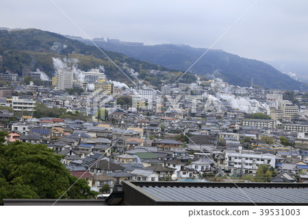 Beppu hot spring area 39531003