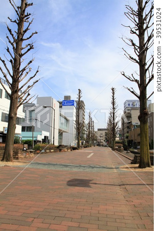 Yamato City, Kanagawa Prefecture Nadeshiko Road Road Yamato City, Kanagawa Prefecture Nadeshiko Road Road 39531024