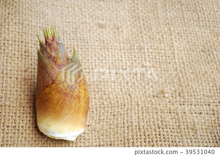 bambooshoot  39531040