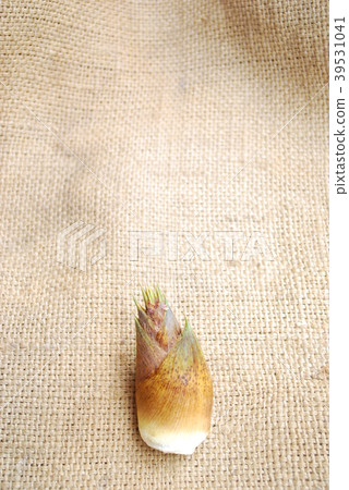 bambooshoot  39531041